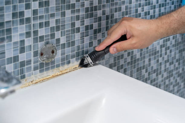 Best Preventive Mold Services in Arden Hills, MN